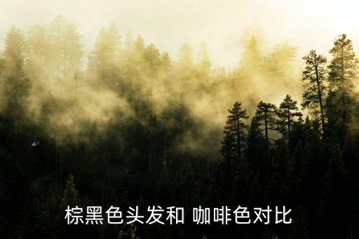 棕黑色頭發和 咖啡色對比