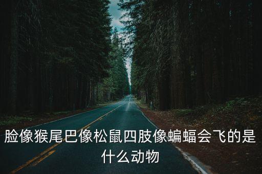臉像猴尾巴像松鼠四肢像蝙蝠會飛的是什么動物