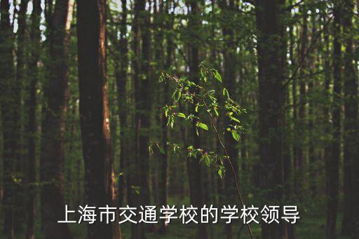 鄧黎明上海市，上海市長寧區區長是誰