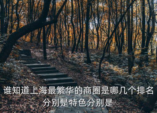 上海市繁榮商圈，上海都有哪些商業(yè)繁華街可購物