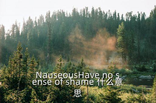 NauseousHave no sense of shame 什么意思