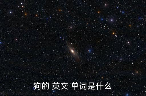 狗英文單詞怎么寫,狗叫跟蹤美國警察來了?