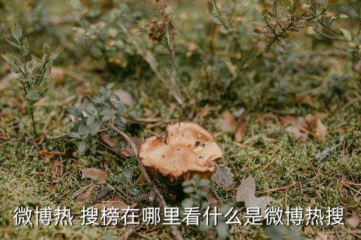 熱搜榜在哪里看,點擊微博發(fā)燒搜榜即可查看最新熱搜和排名