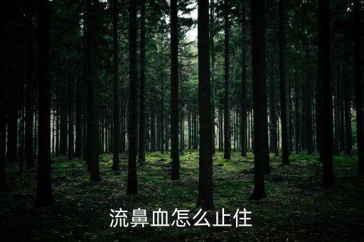 流鼻血怎么止住