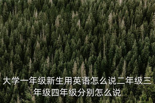 大學(xué)一年級新生用英語怎么說二年級三年級四年級分別怎么說