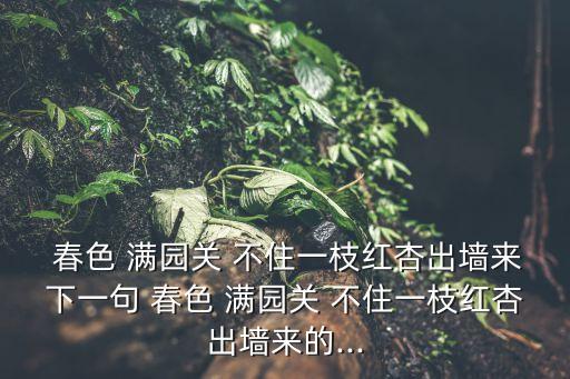 春色滿園關不住,一顆杏仁從墻里出來了春色滿園關不住