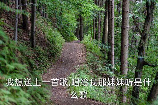 火風歌曲,《大花轎》火風曾獲中央電視臺音樂電視大賽銅獎