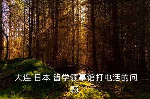  大連 日本 留學(xué)領(lǐng)事館打電話的問題