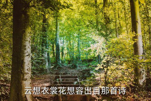 云想衣裳花想容出自那首詩