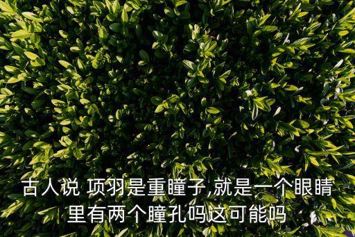古人說 項羽是重瞳子,就是一個眼睛里有兩個瞳孔嗎這可能嗎