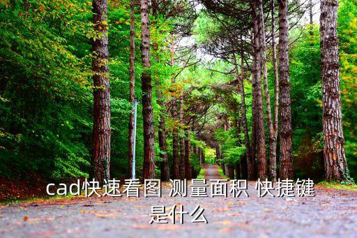 cad測(cè)量快捷鍵,cad快速查看軟件怎么用?
