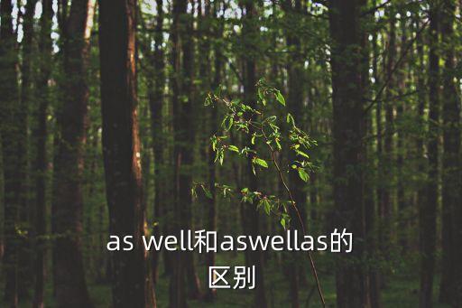 aswellas，英語 aswellas和asgoodas的區別 急急急