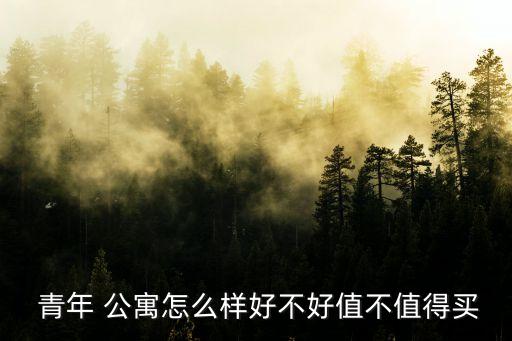 北京青年公寓,北京公寓房間有暖氣居民可聯(lián)系物業(yè)或熱力公司