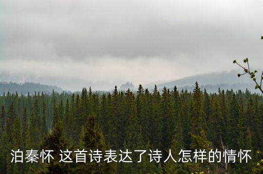 泊秦懷 這首詩表達了詩人怎樣的情懷