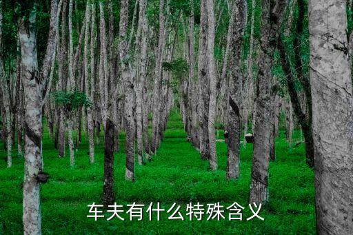 車夫有什么特殊含義