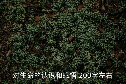 生命的感悟，對生命的認識和感悟 200字左右