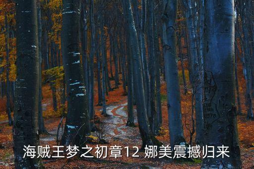 海賊王夢之初章12 娜美震撼歸來