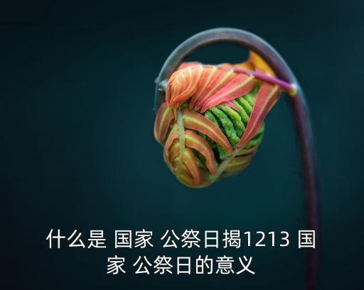 國家公祭日,國家公祭day是紀念民族大災難的紀念活動