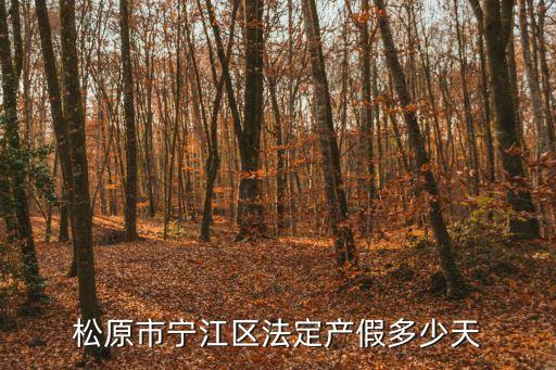 松原市寧江區法定產假多少天