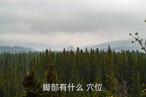 腳上的穴位,人體腳底有很多穴位與內臟相連