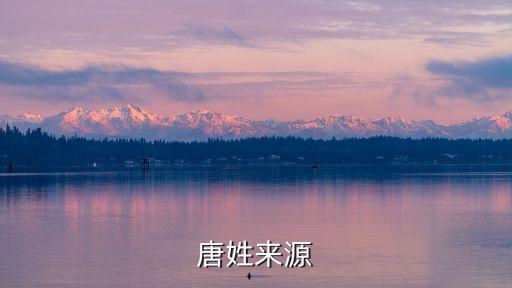 唐姓來源