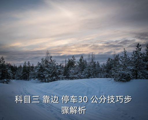 靠邊停車30公分技巧,第3節靠邊停車注意事項一文看懂