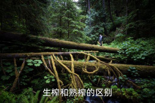 生榨和熟榨的區別