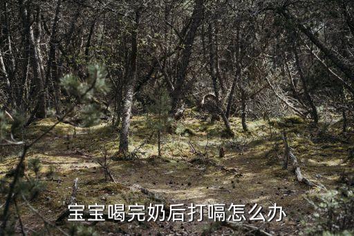 寶寶喝完奶后打嗝怎么辦