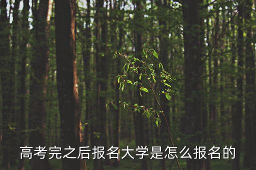 高考完之后報名大學是怎么報名的