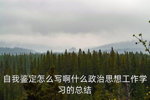 政治思想方面總結(jié)，自我鑒定怎么寫啊什么政治思想工作學(xué)習(xí)的總結(jié)