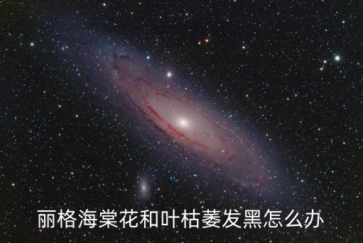麗格海棠花，麗格海棠花和葉枯萎發黑怎么辦
