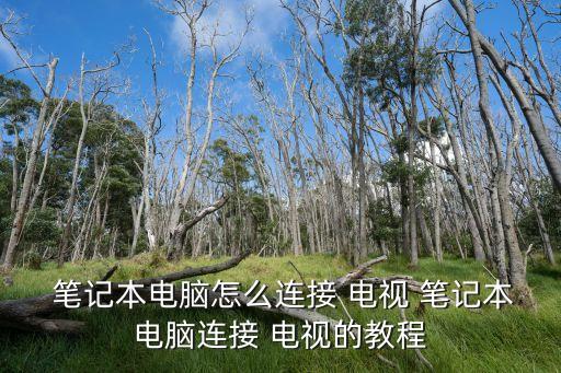 筆記本連電視,連接電腦和筆記本須先接好線再開機(jī)器