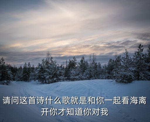 看海周迅，請問這首詩什么歌就是和你一起看海離開你才知道你對我
