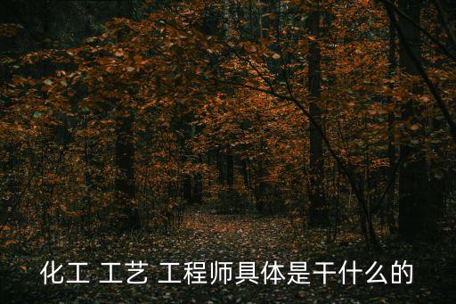 工藝工程師是做什么的,化工-1工程師工作內容:化學反應過程
