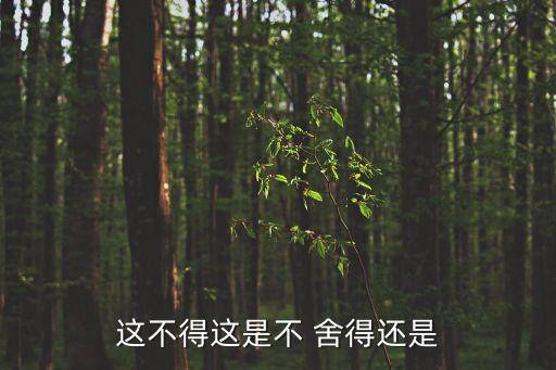 這不得這是不 舍得還是