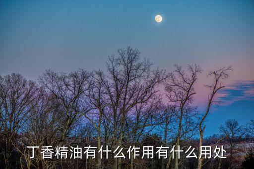 丁香精油，丁香精油的功效是什么
