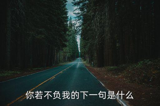 你若不負我的下一句是什么