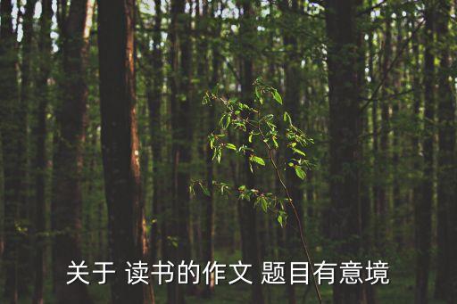 關(guān)于 讀書的作文 題目有意境