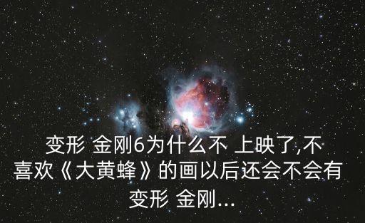  變形 金剛6為什么不 上映了,不喜歡《大黃蜂》的畫以后還會不會有 變形 金剛...