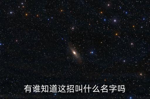 提手上勢，有誰知道這招叫什么名字嗎