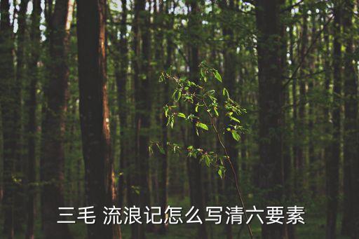  三毛 流浪記怎么寫清六要素