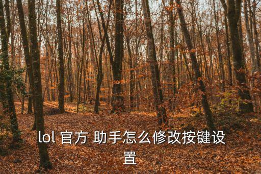 lol官方助手,tik推出助手服務(wù)讓玩家更方便玩英雄聯(lián)盟