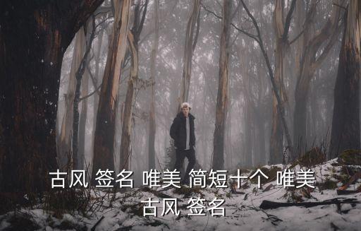  古風 簽名 唯美 簡短十個 唯美 古風 簽名