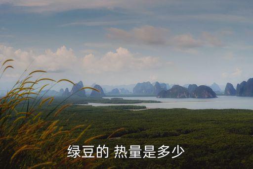 綠豆湯熱量,喝綠豆湯會導致腸胃不適或腹瀉