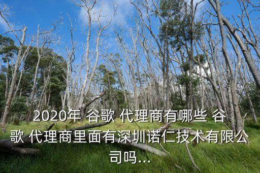 谷歌代理,如何使用代理服務(wù)器?