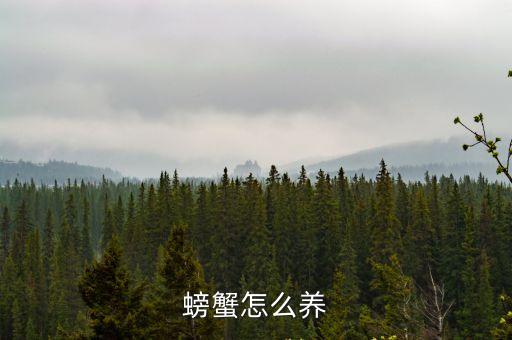 螃蟹怎么養(yǎng)