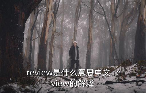  review是什么意思中文 review的解釋