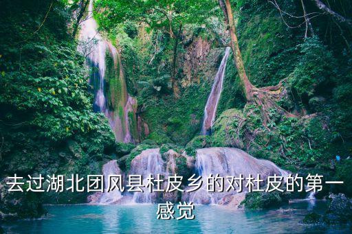 去過湖北團風縣杜皮鄉的對杜皮的第一感覺