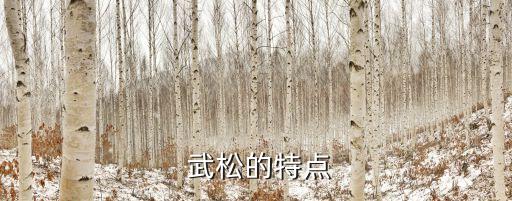 武松的外貌特征,武松打死老虎的故事廣為流傳