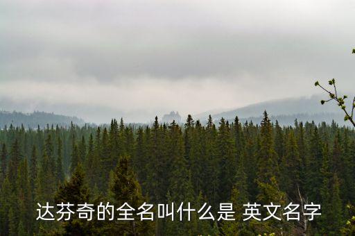 達(dá)芬奇的英文,藝術(shù)復(fù)興最完美的代表達(dá)芬奇中文名:達(dá)彼得